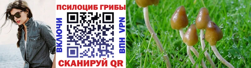Галлюциногенные грибы мухоморы  Купить где  Светлоград 